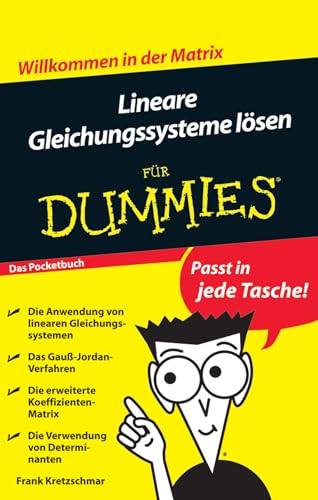 Stock image for Lineare Gleichungssysteme lsen fr Dummies for sale by Ammareal