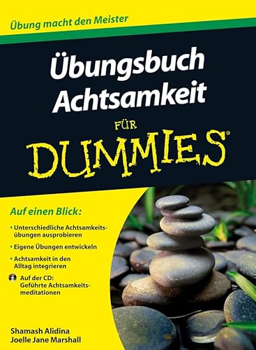 9783527709762: bungsbuch Achtsamkeit fr Dummies