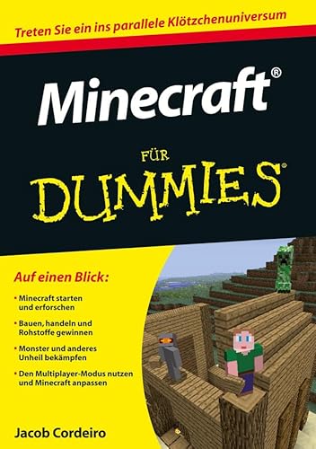 9783527710317: Minecraft Fur Dummies