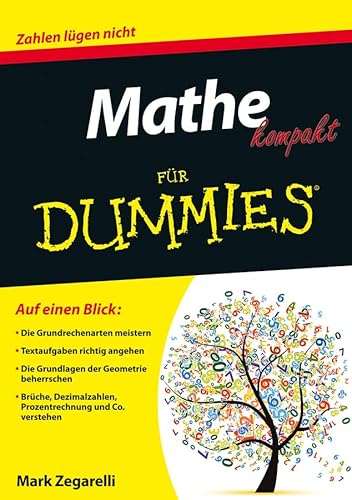 9783527711048: Mathe kompakt fr Dummies (German Edition)