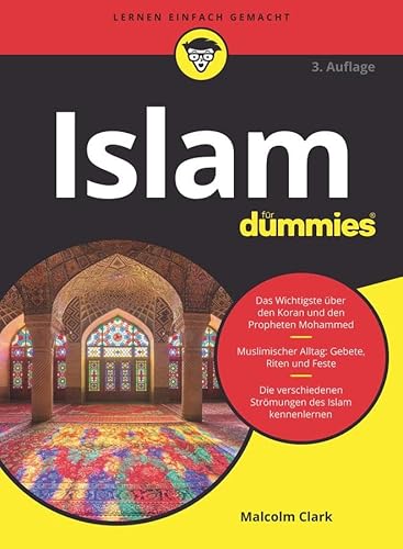 9783527720231: Islam Fr Dummies
