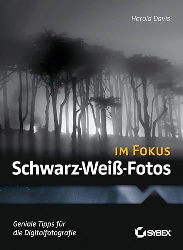 9783527760169: Schwarz-Wei-Fotos im Fokus