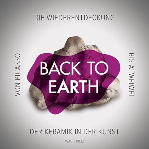Back to Earth: Von Ai Weiwei bis Picasso: Die Wiederentdeckung der Keramik in der Kunst (9783529028618) by Wachholtz Verlag
