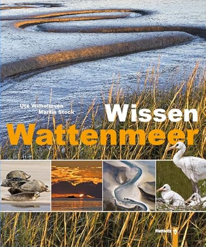 Stock image for Wissen Wattenmeer for sale by medimops