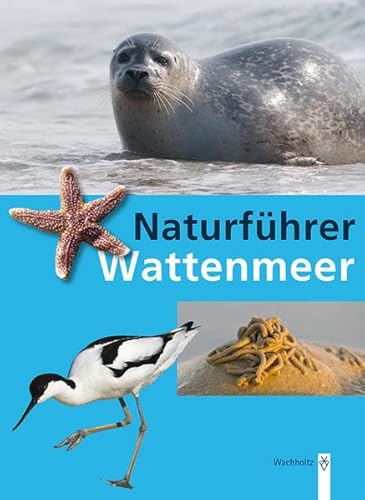 9783529053528: Naturfhrer Wattenmeer