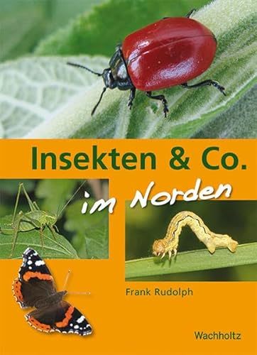 Beispielbild fr Insekten & Co: im Norden zum Verkauf von medimops