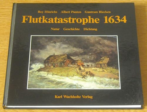 9783529061851: Flutkatastrophe 1634: Natur, Geschichte, Dichtung (German Edition)