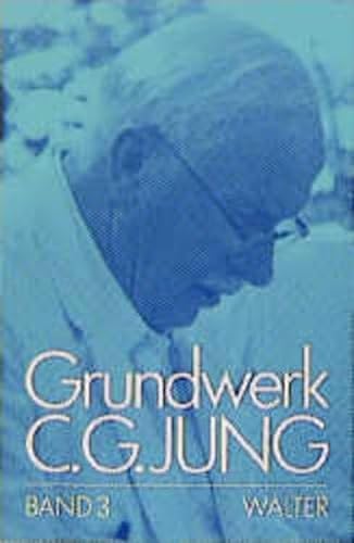 Grundwerk C.G. Jung - Band 3: Persönlichkeit und Übertragung