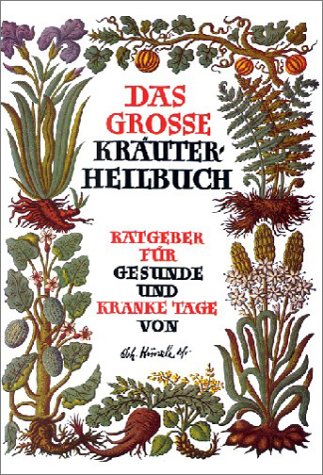 Stock image for Das groe Kruterheilbuch Gebundene Ausgabe von Johann Knzle (Autor) for sale by BUCHSERVICE / ANTIQUARIAT Lars Lutzer