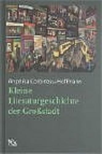 Stock image for Kleine Literaturgeschiche der Grostadt for sale by medimops