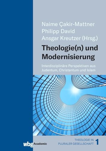 Beispielbild fr Theologie(n) und Modernisierung Interdisziplinre Perspektiven aus Judentum, Christentum und Islam zum Verkauf von Buchpark