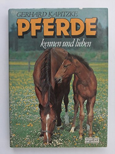 Stock image for Pferde kennen und lieben. 1. Aufl. for sale by Antiquariat + Buchhandlung Bcher-Quell