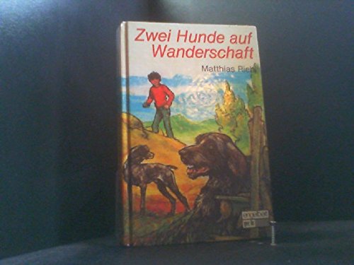 Zwei Hunde auf Wanderschaft