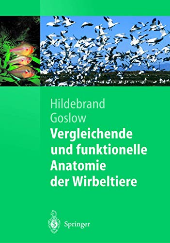 Beispielbild fr Vergleichende und funktionelle Anatomie der Wirbeltiere (Springer-Lehrbuch) zum Verkauf von medimops