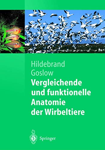 9783540007579: Vergleichende Und Funktionelle Anatomie Der Wirbeltiere (Springer-Lehrbuch)