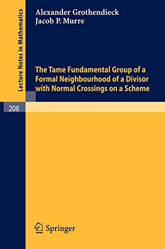9783540054993: The Tame Fundamental Group of a Formal Neighbourhood of a Divisor with Normal Crossings on a Scheme: 208 (Lecture Notes in Mathematics)
