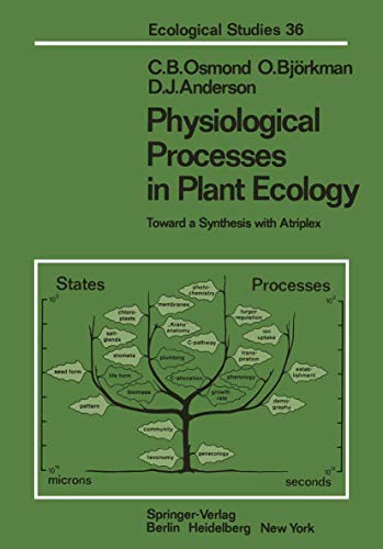 Beispielbild fr Physiological Processes in Plant Ecology : Toward A Synthesis . zum Verkauf von Better World Books