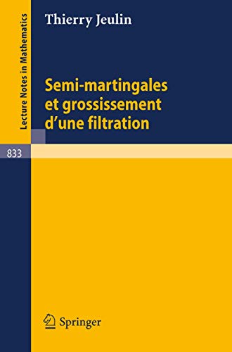Beispielbild fr Semi-Martingales Et Grossissement D'Une Filtration zum Verkauf von Chiron Media