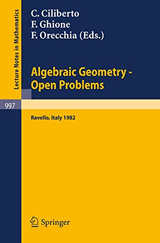 Stock image for Algebraic Geometry - Open Problems : Proceedings of the Conference held in Ravello, May 31 - June 5, 1982 for sale by Chiron Media