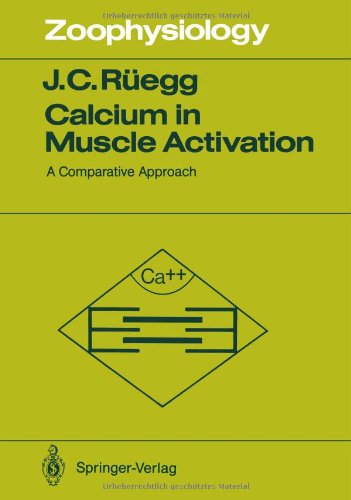 Stock image for Calcium in Muscle Activation: A Comparative Approach (Zoophysiology) for sale by medimops