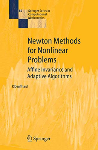 9783540210993: Newton Methods for Nonlinear Problems