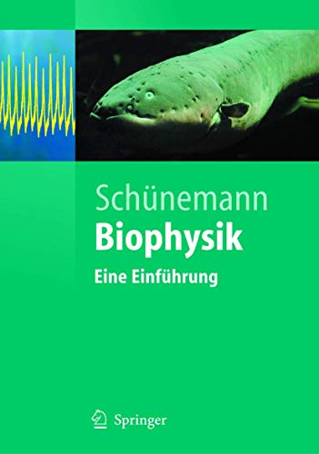 Stock image for Biophysik: Eine Einf�hrung (Springer-Lehrbuch) (German Edition): Eine Einfuhrung for sale by Chiron Media