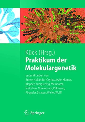 Stock image for Praktikum der Molekulargenetik Springer-Lehrbuch for sale by medimops