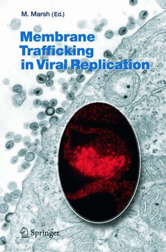 Stock image for Membrane Trafficking in Viral Replication for sale by ThriftBooks-Dallas