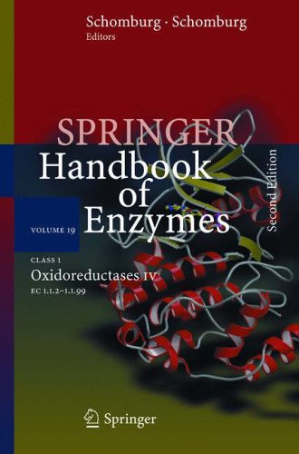 9783540222453: Class 1 Oxidoreductases IV: EC 1.1.2 - 1.1.99 (Springer Handbook of Enzymes, 19)