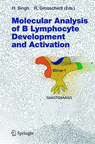 Imagen de archivo de Molecular Analysis of B Lymphocyte Development and Activation (Current Topics in Microbiology and Immunology, No. 290) a la venta por Ergodebooks