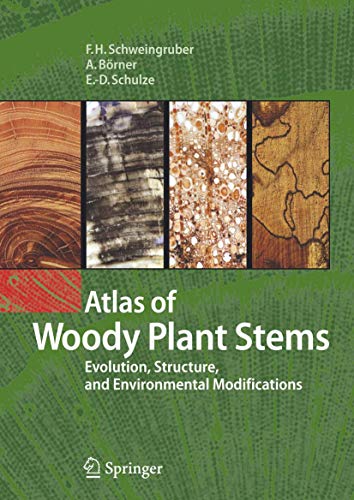 9783540325239: Atlas of Woody Plant Stems: Evolution, Structure, And Environmental Modifications