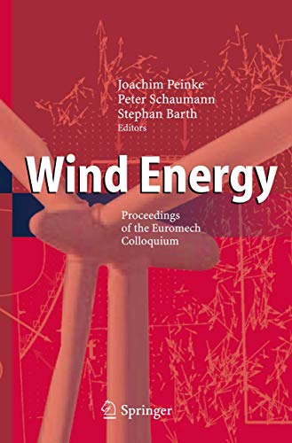 Stock image for Wind Energy: Proceedings Of The Euromech Colloquium for sale by Basi6 International