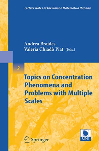 Imagen de archivo de Topics On Concentration Phenomena And Problems With Multiple Scales a la venta por Basi6 International