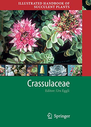 9783540419655: Illustrated Handbook of Succulent Plants: Crassulaceae