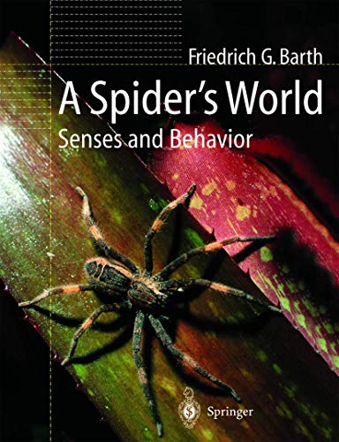 Stock image for A Spider's World for sale by Books Puddle
