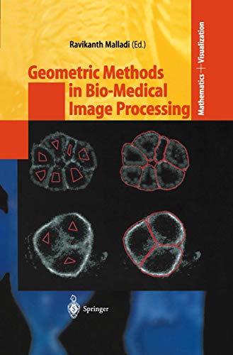 9783540432166: Geometric Methods in Bio-Medical Image Processing