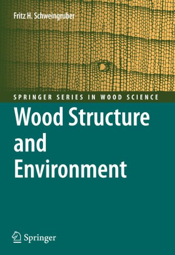Stock image for Wood Structure and Environment (Springer Series in Wood Science) for sale by HPB-Red