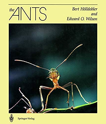Stock image for The ants. for sale by BuchKaffee Vividus e.K.