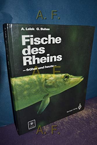 9783540538141: Fische des Rheins: ― frher und heute ― (German Edition)