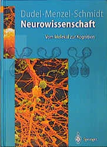 Imagen de archivo de Neurowissenschaft: Vom Molekl zur Kognition (Springer-Lehrbuch) a la venta por medimops