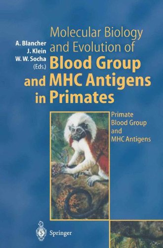 Imagen de archivo de MOLECULAR BIOLOGY AND EVOLUTION OF BLOOD GROUP AND MHC ANTIGENS IN PRIMATES. a la venta por Hay Cinema Bookshop Limited