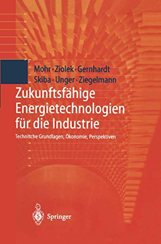 Stock image for Zukunftsfähige Energietechnologien für die Industrie: Technische Grundlagen,  konomie, Perspektiven (German Edition) for sale by Bookmonger.Ltd