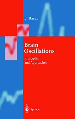 Stock image for Brain Function and Oscillations: Volume I: Brain Oscillations. Principles and Approaches (Springer Series in Synergetics) for sale by Moe's Books