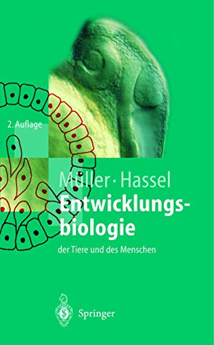 9783540658672: Entwicklungsbiologie der Tiere und des Menschen: Einfhrendes Lehrbuch der Embryologie, Entwicklungsgenetik und Entwicklungsphysiologie