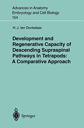 Stock image for Development and Regenerative Capacity of Descending Supraspinal Pathways in Tetrapods: A Comparative Approach for sale by Revaluation Books