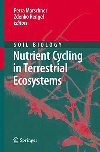 Stock image for Nutrient Cycling in Terrestrial Ecosystems for sale by Antiquariat Walter Nowak