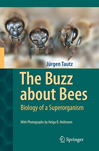 Stock image for The Buzz About Bees: Biology of a Superorganism for sale by Revaluation Books