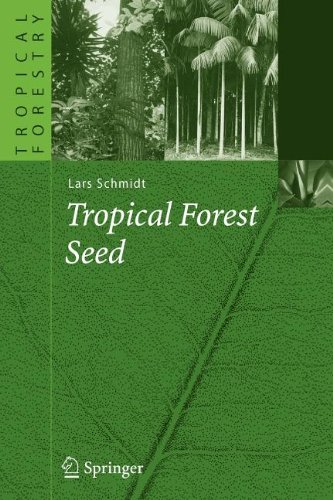 9783540832805: Tropical Forest Seed