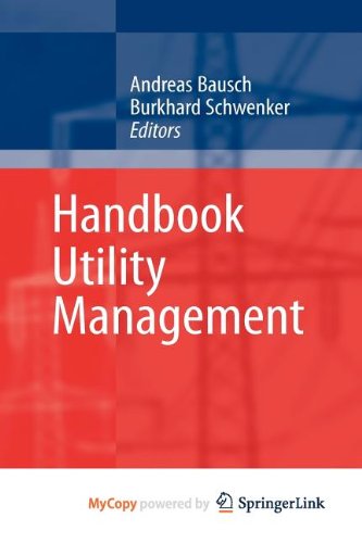 9783540872177: Handbook Utility Management