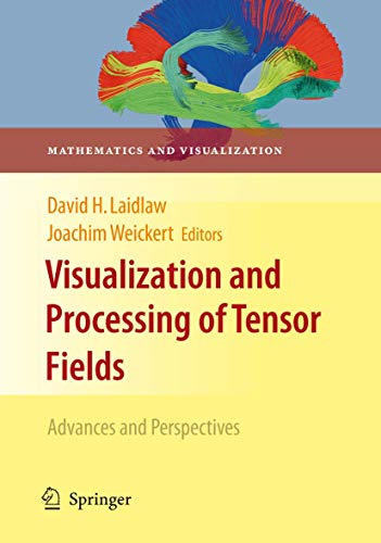 Imagen de archivo de Visualization And Processing Of Tensor Fields a la venta por Basi6 International